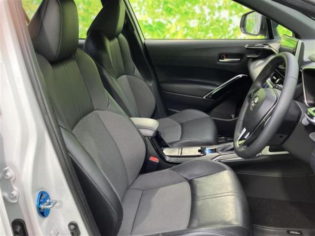 �u���̎Ԃ̎ʐ^�������ƌ������v�u��Ԃ��C�ɂȂ�v�u���̑����͂��Ă���H�v�ǂ�ȏ����ȋ^��ł����C�y�ɂ��₢���킹���������I