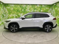 �ףţã��ңӤκ߸˥ڡ������������������ˤ��꤬�Ȥ��������ޤ����ףţã��ңӤϡ֤��������פ��åȡ��ˤ����ͤΥ����饤�դ����Ϥǥ��ݡ��Ȥ������ޤ��� 2