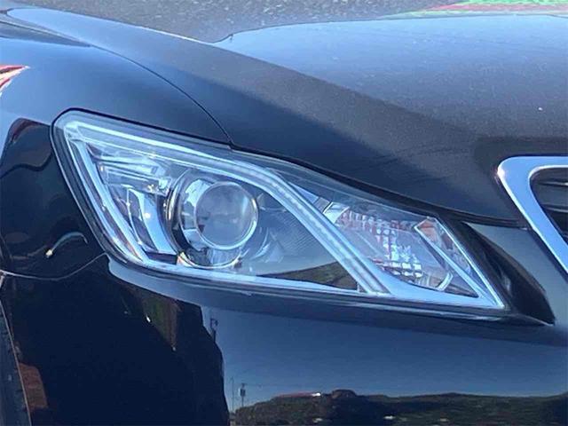 ���̓x�͓��X�̂��Ԃ������ɂȂ��Ă��������A���ɂ��肪�Ƃ��������܂��B���Ђ�������Ƃ������������B�C�y�ɂ��⍇���E�����ς肨�҂����Ă���܂��B