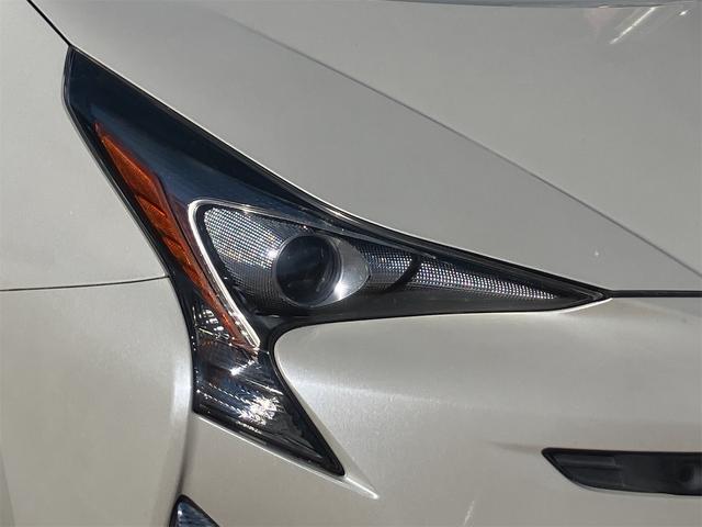 �����x�A���Ԃ��䗗���������B