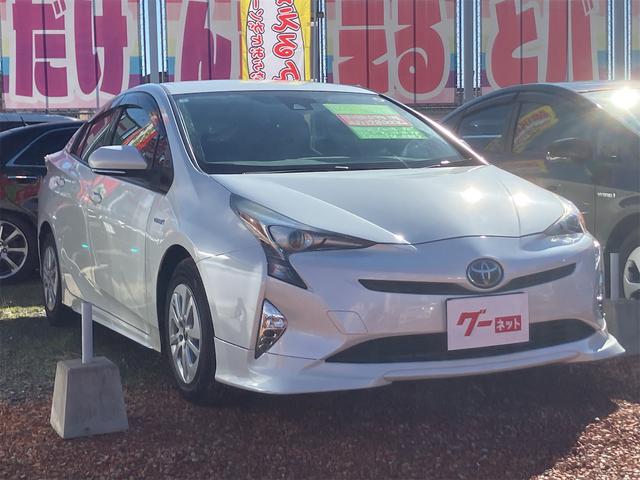 �����x�A���Ԃ��䗗���������B