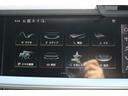 スポーツバック３０ＴＦＳＩアドバンスド　認定中古車　ナビＰＫＧ　ＡＣＣ　リヤビューカメラ　ＴＶチューナー　プライバシーガラス　ＬＥＤ（15枚目）