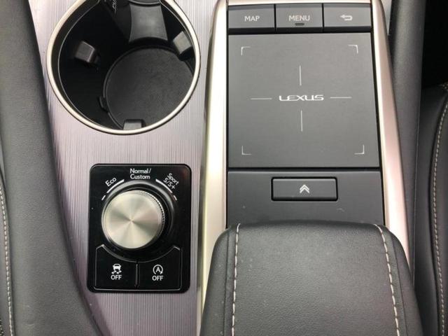 RX RX300Fスポーツ パノラマルーフ/保証書/純正 ナビ/プリクラッシュセーフティ/シートヒーター/パノラミックビューモニター/車線逸脱防止支援システム/シート 合皮/電動バックドア/ドライブレコーダー 前後 サンルーフ(39枚目)