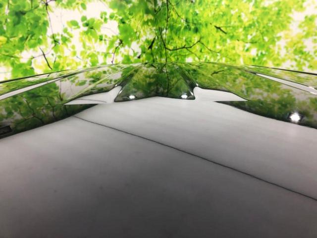 N-BOX G・ターボLパッケージ 新品タイヤ/社外 SDナビ/両側電動スライドドア/ヘッドランプ LED/Bluetooth接続/ETC/EBD付ABS/横滑り防止装置/アイドリングストップ/クルーズコントロール/フルセグTV(36枚目)