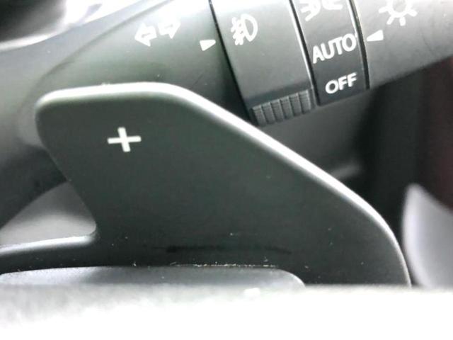 スペーシアカスタム ハイブリッドXSターボ 保証書/純正 9インチ SDナビ/デュアルカメラブレーキサポート(スズキ)/両側電動スライドドア/シートヒーター 前席/車線逸脱防止支援システム/シート ハーフレザー/ヘッドランプ LED ETC(33枚目)