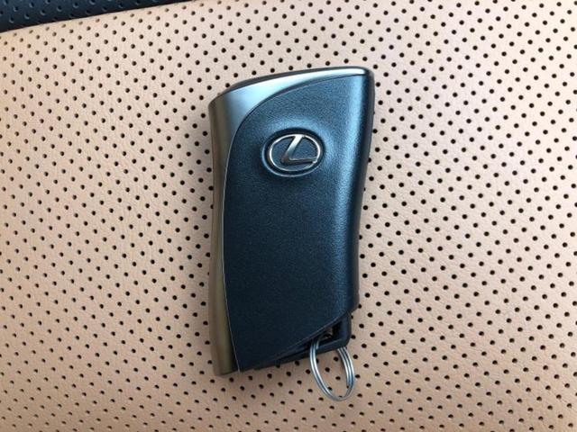 NX NX350h Fスポーツ サンルーフ/純正エアロ/ディスプレイオーディオ+ナビ/デジタルインナーミラー/衝突安全装置/シートヒーター/車線逸脱防止支援システム/シート フルレザー/電動バックドア 革シート 衝突被害軽減システム(33枚目)