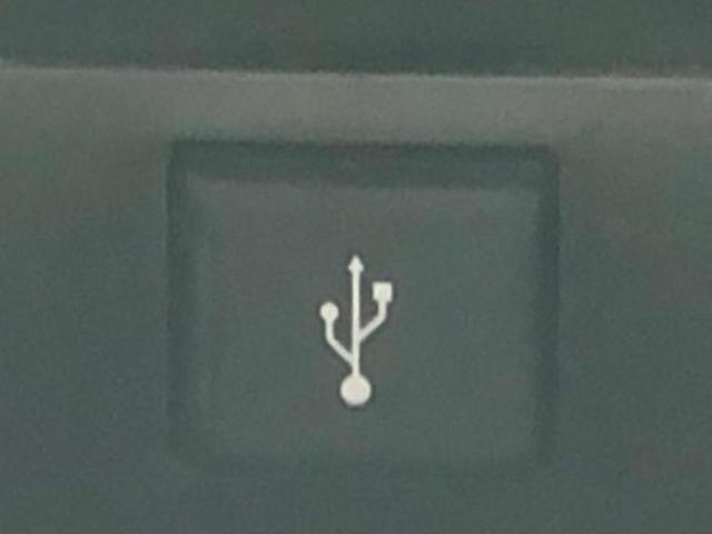 アルファード Ｓタイプゴールド　新品タイヤ／ディスプレイオーディオ＋ナビ９インチ／フリップダウンモニター　純正　１２．１インチ／トヨタセーフティセンス／両側電動スライドドア／車線逸脱防止支援システム／シート　ハーフレザー　ＤＶＤ再生（32枚目）