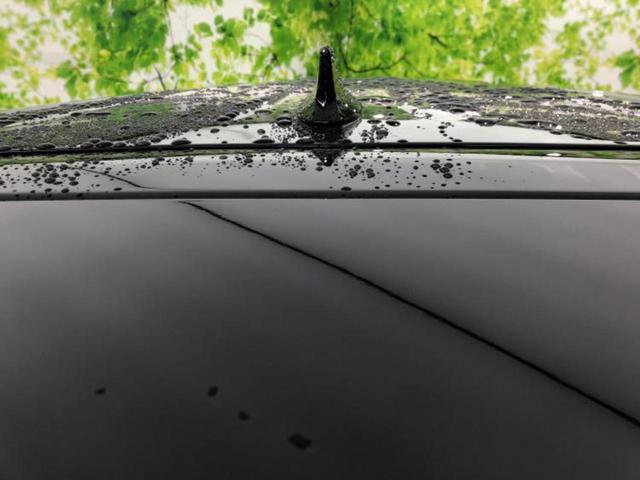 アルファード Ｓタイプゴールド　新品タイヤ／ディスプレイオーディオ＋ナビ９インチ／フリップダウンモニター　純正　１２．１インチ／トヨタセーフティセンス／両側電動スライドドア／車線逸脱防止支援システム／シート　ハーフレザー　ＤＶＤ再生（37枚目）