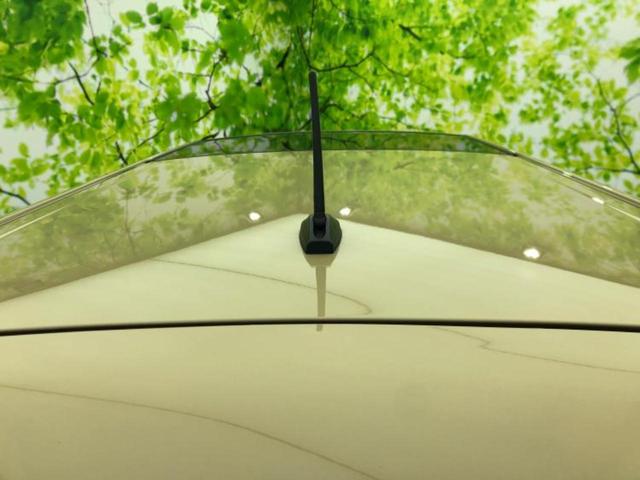 タフト Ｘターボ　新品タイヤ／ガラスルーフ／保証書／社外　ＳＤナビ／衝突安全装置／車線逸脱防止支援システム／ヘッドランプ　ＬＥＤ／Ｂｌｕｅｔｏｏｔｈ接続／ＥＴＣ／ＥＢＤ付ＡＢＳ／横滑り防止装置／アイドリングストップ（36枚目）