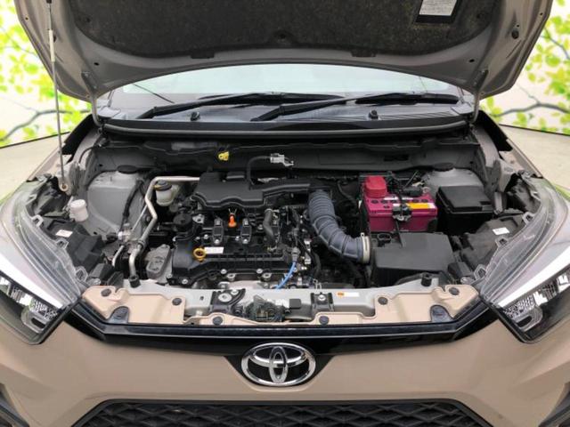 ライズ Ｇ　新品タイヤ／社外　ＳＤナビ／衝突安全装置／車線逸脱防止支援システム／ヘッドランプ　ＬＥＤ／ＥＴＣ／ＥＢＤ付ＡＢＳ／横滑り防止装置／アイドリングストップ／エアバッグ　運転席／エアバッグ　助手席（36枚目）