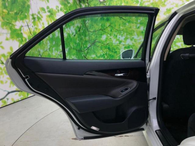 �u���̎Ԃ̎ʐ^�������ƌ������v�u��Ԃ��C�ɂȂ�v�u���̑����͂��Ă���H�v�ǂ�ȏ����ȋ^��ł����C�y�ɂ��₢���킹���������I