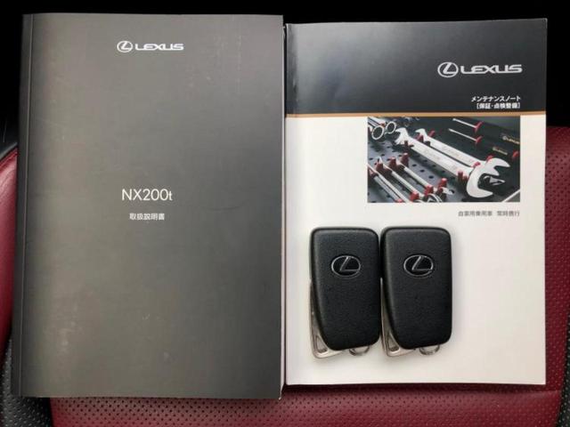 �u���̎Ԃ̎ʐ^�������ƌ������v�u��Ԃ��C�ɂȂ�v�u���̑����͂��Ă���H�v�ǂ�ȏ����ȋ^��ł����C�y�ɂ��₢���킹���������I