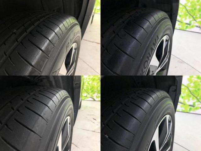 �u���̎Ԃ̎ʐ^�������ƌ������v�u��Ԃ��C�ɂȂ�v�u���̑����͂��Ă���H�v�ǂ�ȏ����ȋ^��ł����C�y�ɂ��₢���킹���������I