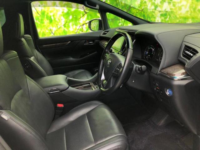 �u���̎Ԃ̎ʐ^�������ƌ������v�u��Ԃ��C�ɂȂ�v�u���̑����͂��Ă���H�v�ǂ�ȏ����ȋ^��ł����C�y�ɂ��₢���킹���������I