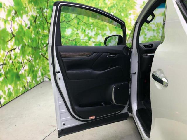 �u���̎Ԃ̎ʐ^�������ƌ������v�u��Ԃ��C�ɂȂ�v�u���̑����͂��Ă���H�v�ǂ�ȏ����ȋ^��ł����C�y�ɂ��₢���킹���������I