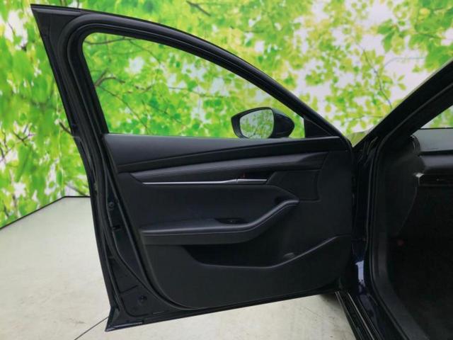 �u���̎Ԃ̎ʐ^�������ƌ������v�u��Ԃ��C�ɂȂ�v�u���̑����͂��Ă���H�v�ǂ�ȏ����ȋ^��ł����C�y�ɂ��₢���킹���������I