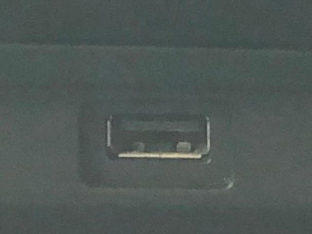 �u���̎Ԃ̎ʐ^�������ƌ������v�u��Ԃ��C�ɂȂ�v�u���̑����͂��Ă���H�v�ǂ�ȏ����ȋ^��ł����C�y�ɂ��₢���킹���������I