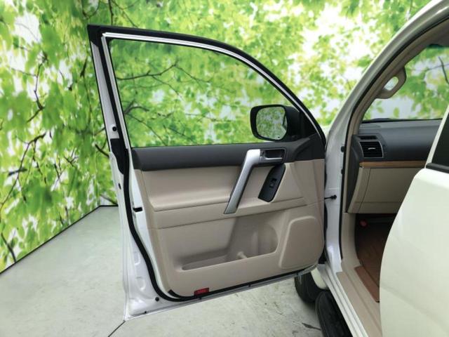 �u���̎Ԃ̎ʐ^�������ƌ������v�u��Ԃ��C�ɂȂ�v�u���̑����͂��Ă���H�v�ǂ�ȏ����ȋ^��ł����C�y�ɂ��₢���킹���������I