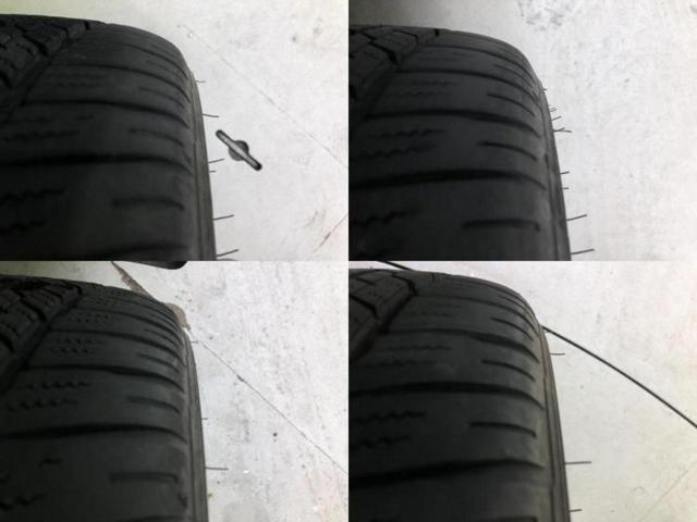 �u���̎Ԃ̎ʐ^�������ƌ������v�u��Ԃ��C�ɂȂ�v�u���̑����͂��Ă���H�v�ǂ�ȏ����ȋ^��ł����C�y�ɂ��₢���킹���������I