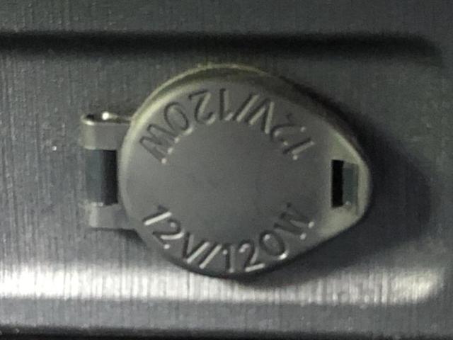 �u���̎Ԃ̎ʐ^�������ƌ������v�u��Ԃ��C�ɂȂ�v�u���̑����͂��Ă���H�v�ǂ�ȏ����ȋ^��ł����C�y�ɂ��₢���킹���������I