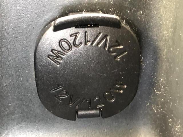 �u���̎Ԃ̎ʐ^�������ƌ������v�u��Ԃ��C�ɂȂ�v�u���̑����͂��Ă���H�v�ǂ�ȏ����ȋ^��ł����C�y�ɂ��₢���킹���������I