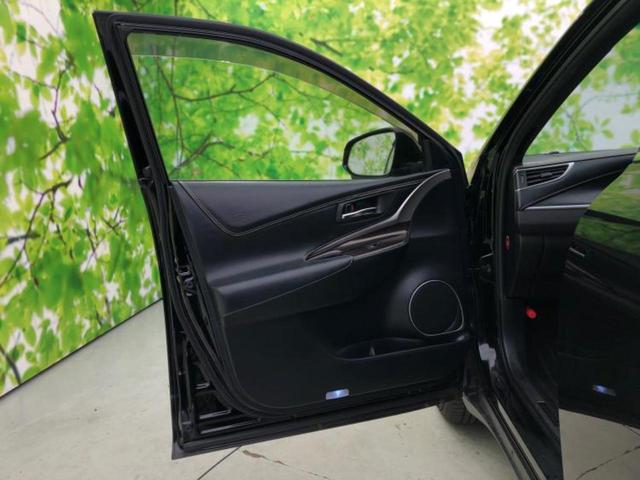 �u���̎Ԃ̎ʐ^�������ƌ������v�u��Ԃ��C�ɂȂ�v�u���̑����͂��Ă���H�v�ǂ�ȏ����ȋ^��ł����C�y�ɂ��₢���킹���������I