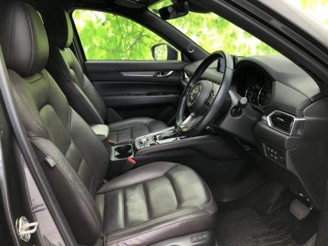 �u���̎Ԃ̎ʐ^�������ƌ������v�u��Ԃ��C�ɂȂ�v�u���̑����͂��Ă���H�v�ǂ�ȏ����ȋ^��ł����C�y�ɂ��₢���킹���������I