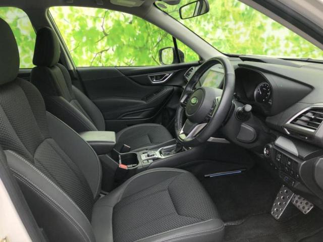 �u���̎Ԃ̎ʐ^�������ƌ������v�u��Ԃ��C�ɂȂ�v�u���̑����͂��Ă���H�v�ǂ�ȏ����ȋ^��ł����C�y�ɂ��₢���킹���������I