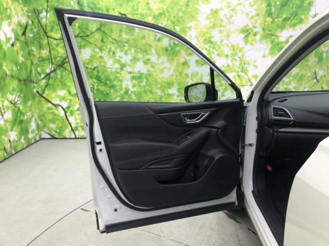 �u���̎Ԃ̎ʐ^�������ƌ������v�u��Ԃ��C�ɂȂ�v�u���̑����͂��Ă���H�v�ǂ�ȏ����ȋ^��ł����C�y�ɂ��₢���킹���������I