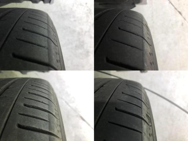 �u���̎Ԃ̎ʐ^�������ƌ������v�u��Ԃ��C�ɂȂ�v�u���̑����͂��Ă���H�v�ǂ�ȏ����ȋ^��ł����C�y�ɂ��₢���킹���������I