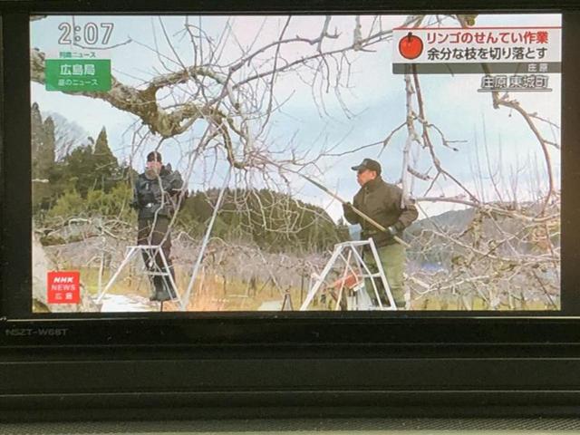 ライズ Ｇ　新品タイヤ／保証書／純正　ＳＤナビ／衝突安全装置／車線逸脱防止支援システム／ヘッドランプ　ＬＥＤ／ＥＴＣ／ＥＢＤ付ＡＢＳ／横滑り防止装置／アイドリングストップ／フルセグＴＶ／エアバッグ　運転席（12枚目）