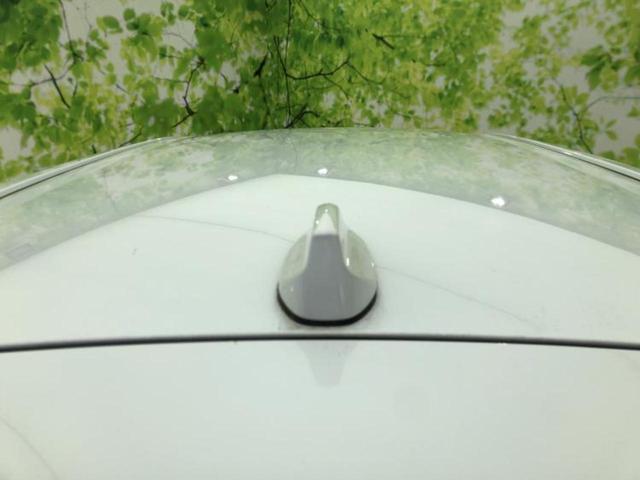 ライズ Ｇ　新品タイヤ／保証書／純正　ＳＤナビ／衝突安全装置／車線逸脱防止支援システム／ヘッドランプ　ＬＥＤ／ＥＴＣ／ＥＢＤ付ＡＢＳ／横滑り防止装置／アイドリングストップ／フルセグＴＶ／エアバッグ　運転席（37枚目）