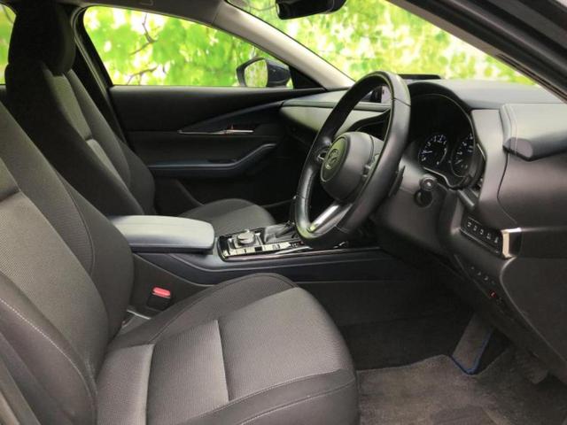 �u���̎Ԃ̎ʐ^�������ƌ������v�u��Ԃ��C�ɂȂ�v�u���̑����͂��Ă���H�v�ǂ�ȏ����ȋ^��ł����C�y�ɂ��₢���킹���������I