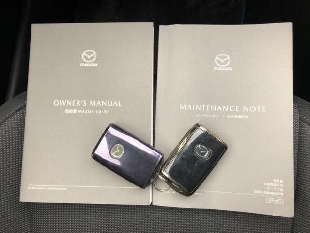 ＣＸ－３０ ２０Ｓプロアクティブツーリングセレクション　純正　ＳＤナビ／アイアクティブセンス（マツダ）／シートヒーター　前席／３６０°ビューモニター／車線逸脱防止支援システム／電動バックドア／ヘッドランプ　ＬＥＤ／Ｂｌｕｅｔｏｏｔｈ接続／ＥＴＣ　ＤＶＤ再生（31枚目）