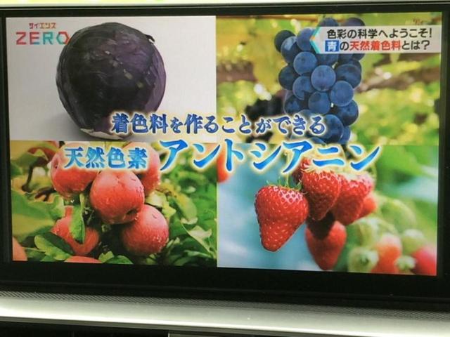 ライズ Ｚ　純正エアロ／ディスプレイオーディオ／トヨタセーフティセンス／シートヒーター／パノラミックビューモニター／車線逸脱防止支援システム／ヘッドランプ　ＬＥＤ／Ｂｌｕｅｔｏｏｔｈ接続／ＥＴＣ　全周囲カメラ（11枚目）