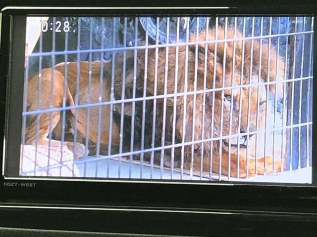 �i�r�A�h�����R�A�d�s�b�A�t���b�v�_�E�����j�^�[�A�f�W�^���C���i�[�~���[�������c��t���\�ł��I�I�v�V�������L�x�Ɏ�葵���Ă���܂��̂ł����S���������I