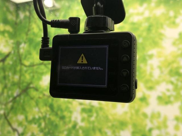 �u���̎Ԃ̎ʐ^�������ƌ������v�u��Ԃ��C�ɂȂ�v�u���̑����͂��Ă���H�v�ǂ�ȏ����ȋ^��ł����C�y�ɂ��₢���킹���������I