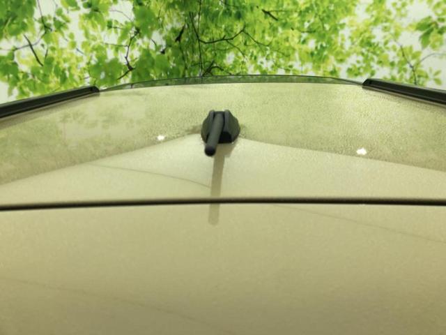 タフト Ｇ　パノラマルーフ／ディスプレイオーディオ１０インチ／スマートアシスト（トヨタ・ダイハツ）／シートヒーター　前席／車線逸脱防止支援システム／ヘッドランプ　ＬＥＤ／Ｂｌｕｅｔｏｏｔｈ接続　サンルーフ（31枚目）