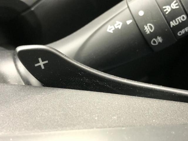 �u���̎Ԃ̎ʐ^�������ƌ������v�u��Ԃ��C�ɂȂ�v�u���̑����͂��Ă���H�v�ǂ�ȏ����ȋ^��ł����C�y�ɂ��₢���킹���������I