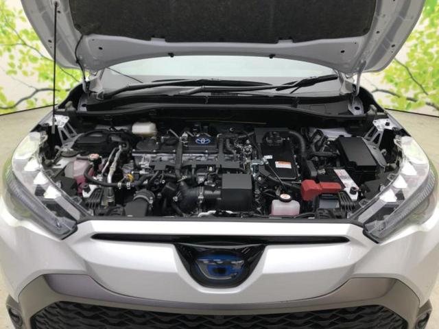 �S���ɓX�܂�W�J���Ă���̂łǂ��ł������񂹂��\�ł��I���̎Ԃ��C�ɂȂ邯�ǉ���������E�E�E�ƒ��߂�K�v�͂���܂���I���ʓr������K�v�ł��B