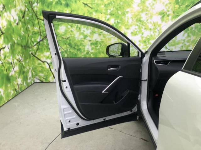 �u���̎Ԃ̎ʐ^�������ƌ������v�u��Ԃ��C�ɂȂ�v�u���̑����͂��Ă���H�v�ǂ�ȏ����ȋ^��ł����C�y�ɂ��₢���킹���������I