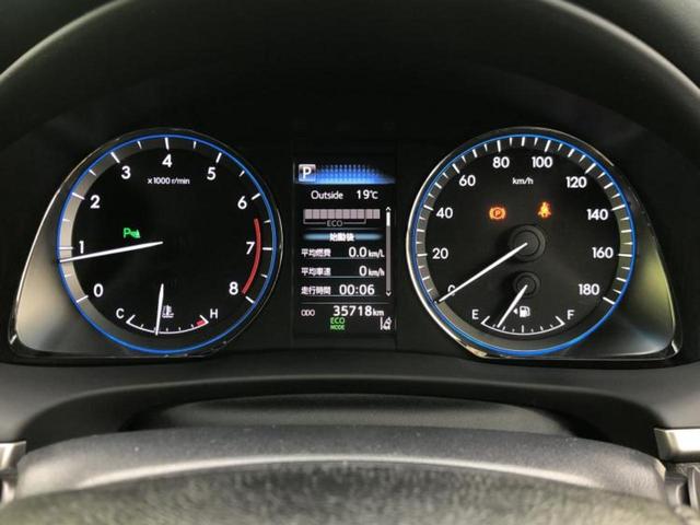 �v�d�b�`�q�r�̓W����ł͎��ۂɌ��āA�G���Ă��Ԃ����I�т��������܂��I�m���̖L�x�ȉc�ƃX�^�b�t���l�X�ȃJ�[���C�t������Ă������܂��I