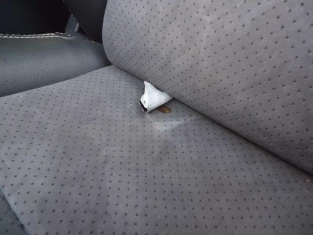 ����ȃV�[�g�ł�������