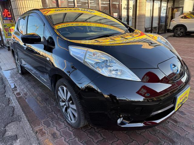 リーフ G(30kwh)(3枚目)