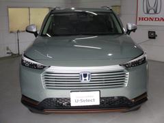 ���ҥǥ⥫�����å� 2