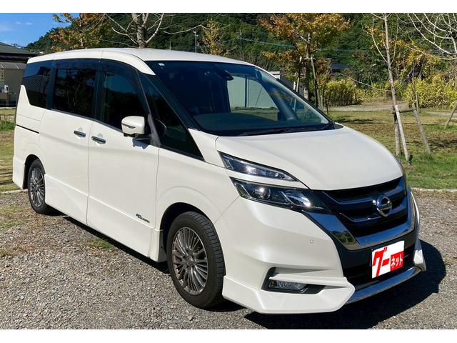 SDナビ フリップダウンモニター ハンズフリー機能付両側電動ドア バックカメラ LEDライト