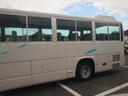 HINO MELPHA