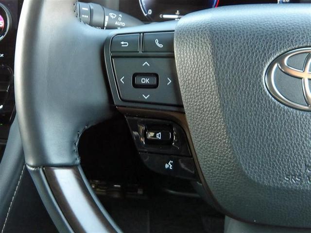 アルファード Ｚ　サンルーフ　フルセグ　メモリーナビ　バックカメラ　衝突被害軽減システム　ＥＴＣ　ドラレコ　両側電動スライド　ＬＥＤヘッドランプ　乗車定員７人　３列シート（18枚目）