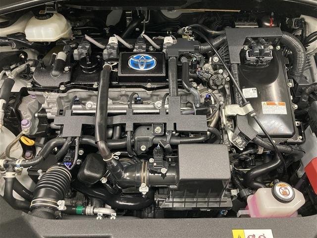 �G���W�����[�������ꂢ�ɐ�܂ƃu���b�V���O�ł܂邲�ƃN���[�j���O���Ă��܂��B