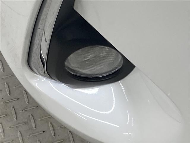 �t�H�O�����v�t���ŁA���̎��Ƀw�b�h���C�g�����ł͌����ɂ����H����Z���^�[���C���̎��F�������サ���S�ł�